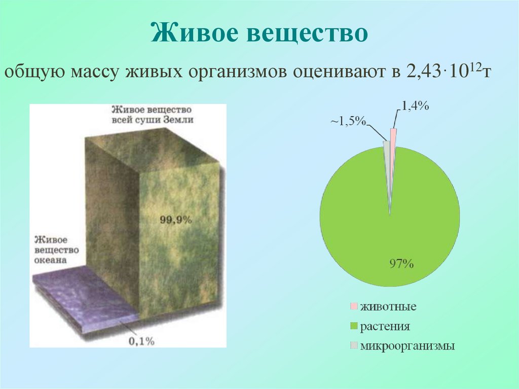 Диаграмма соотношения биомассы растений и животных в океане