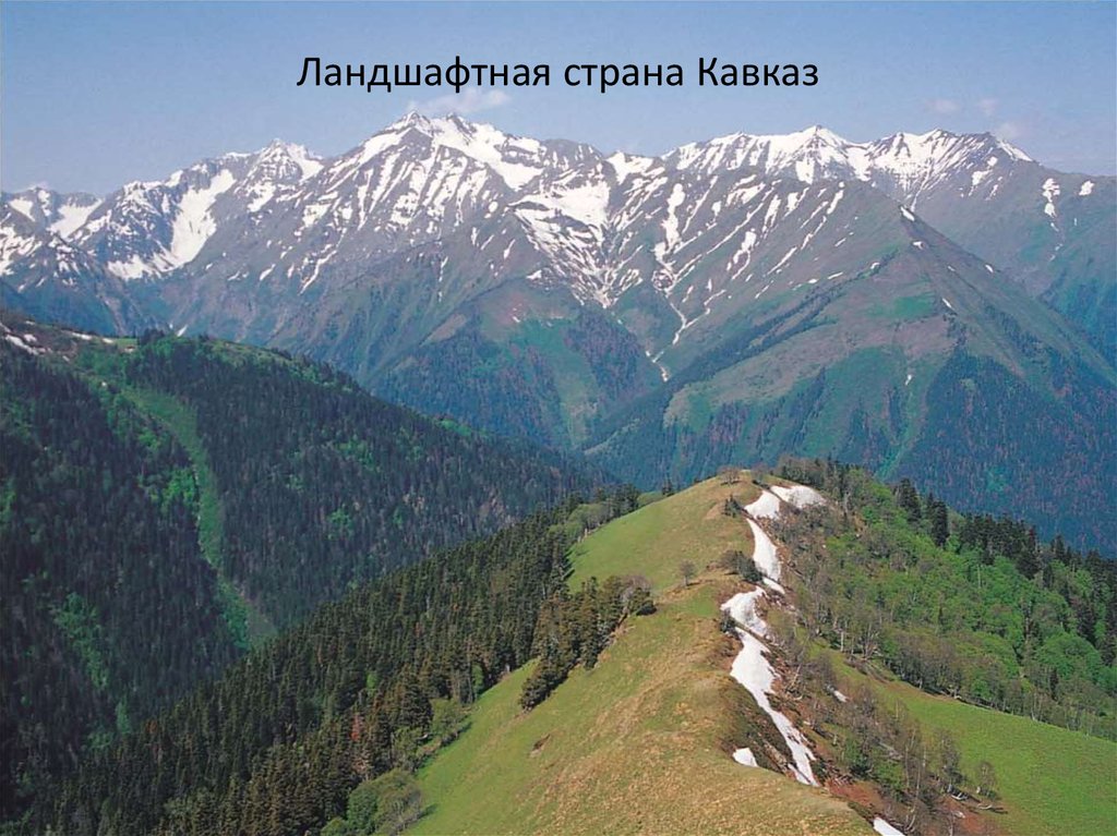 Ландшафтная страна Кавказ