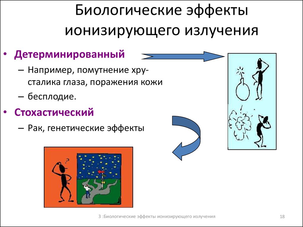 Биологическое действие ионизирующих излучений презентация