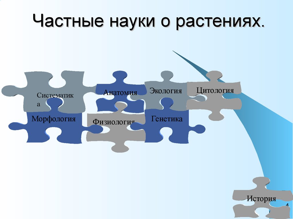 Частные науки. Частные науки о растениях. Что такое анатомия систематика генетика. Частное знание.