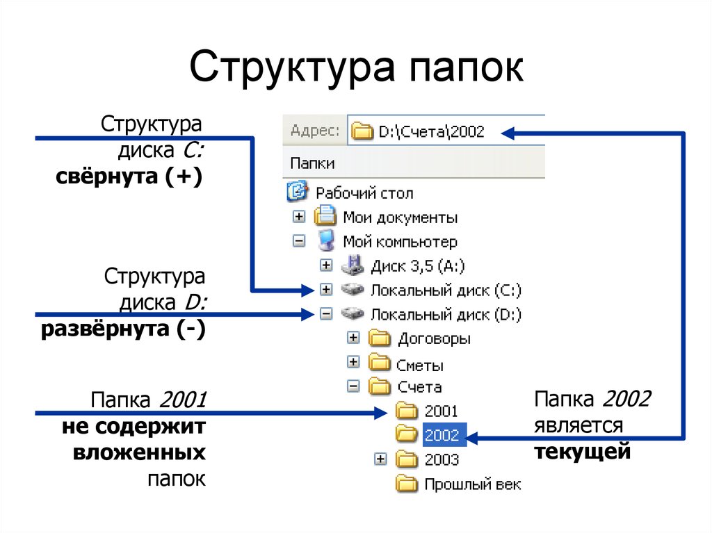Дерево папок файлов. Структура общих папок в организации. Структура папок на компьютере. Дерево папок. Папки структура хранения папок.