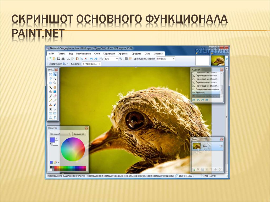 Как вставить текст в картинку в paint