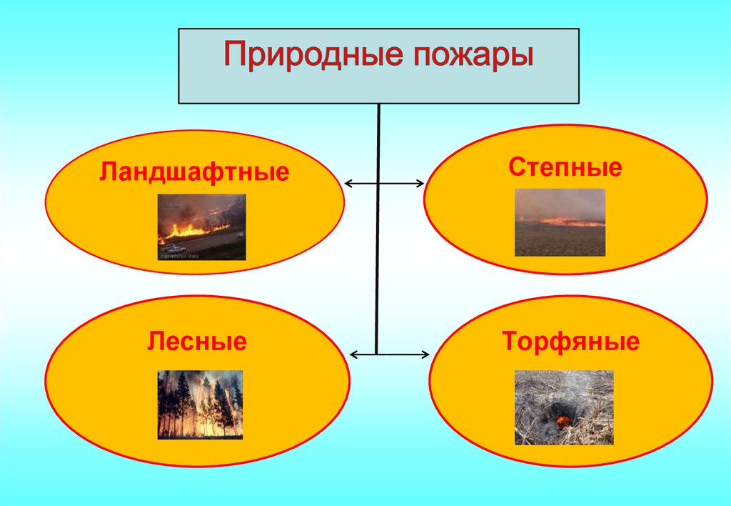 Природные пожары виды