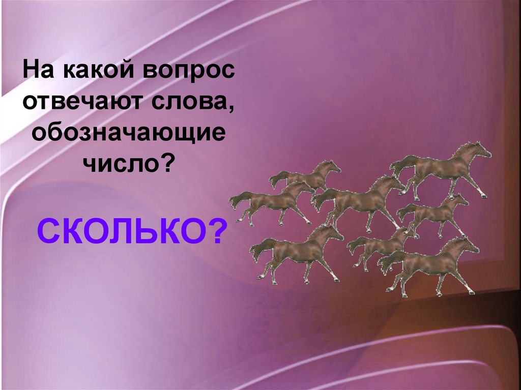 На какой вопрос отвечает слово хочешь. Слова отвечающие на вопрос насколько. Слова отвечающие на вопрос сколько. На какой вопрос отвечает слово сколько. Картинка слова отвечающие на вопрос сколько?.