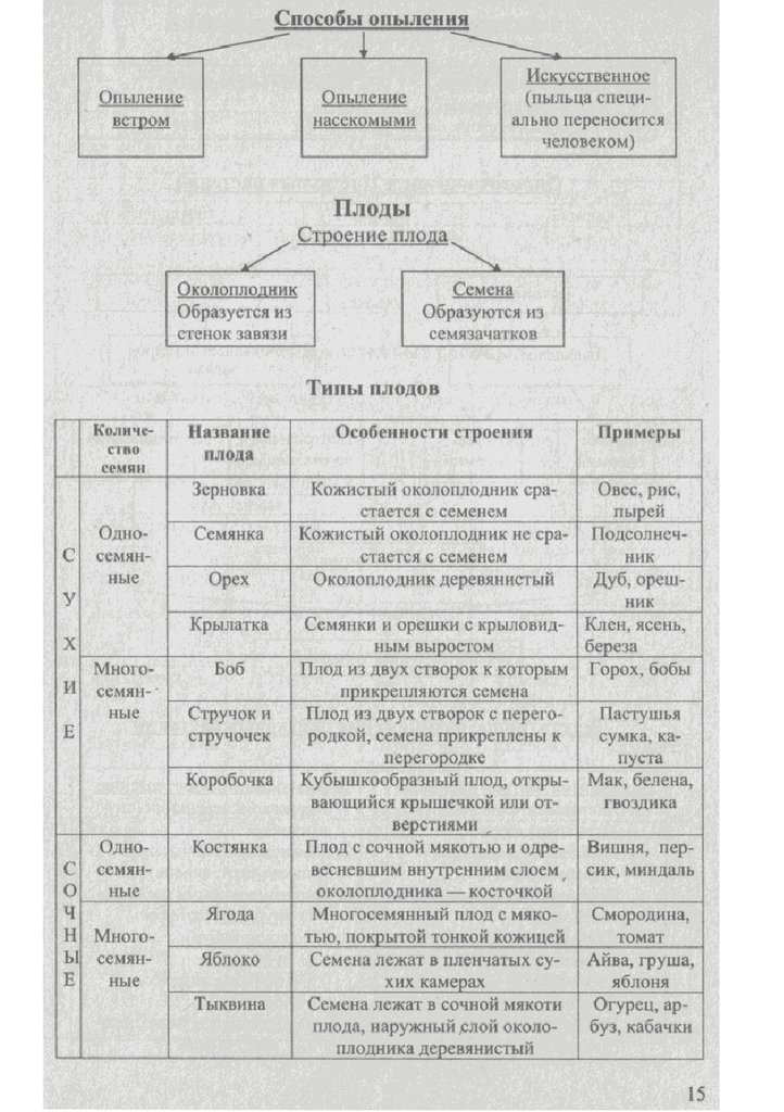 Егэ биология теория в таблицах и схемах