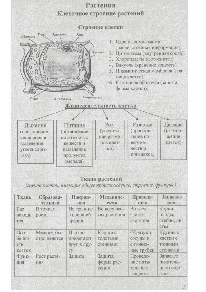 Биология для огэ в схемах и таблицах