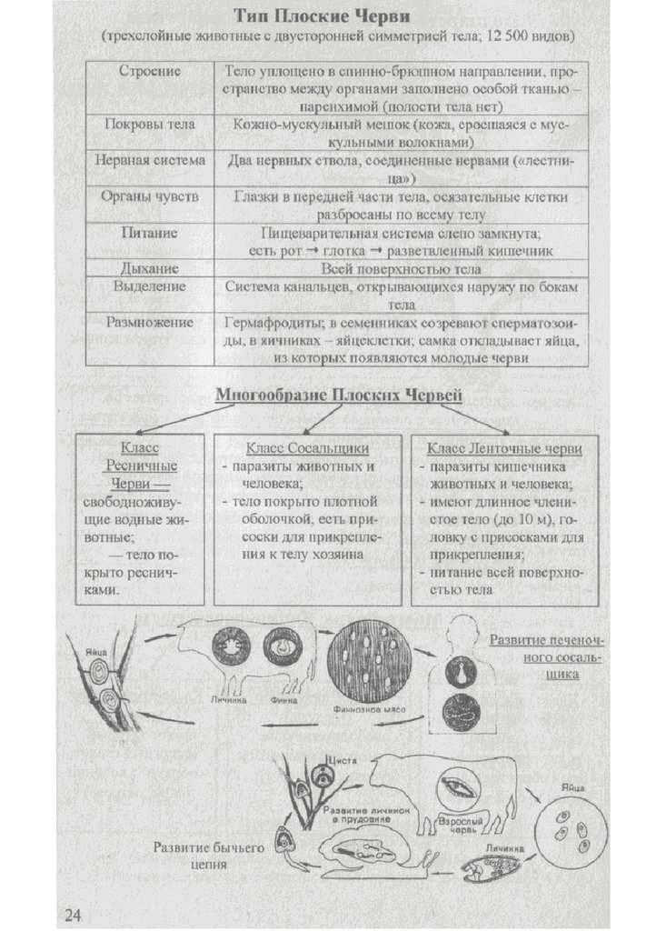 Биология в таблицах и схемах подготовка к егэ по биологии