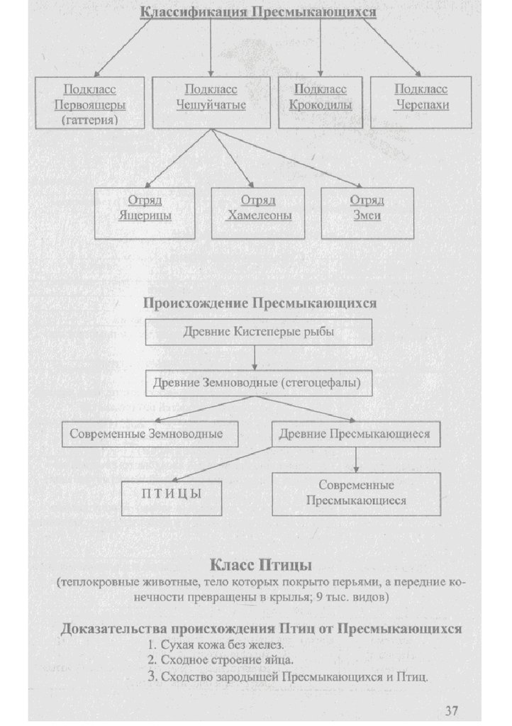 Биология весь курс в таблицах и схемах