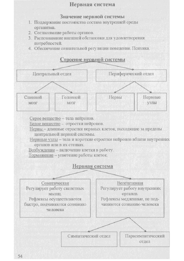 Егэ биология в таблицах схемах и таблицах