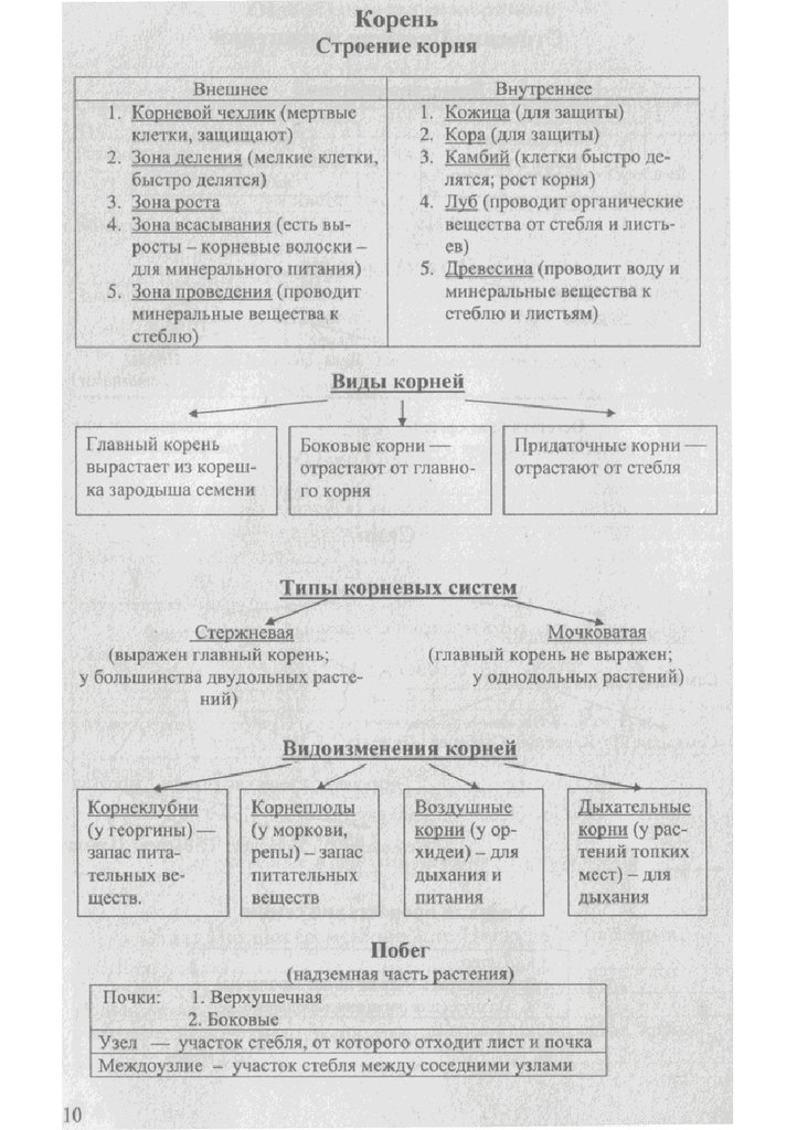 Вся биология в схемах и в таблицах