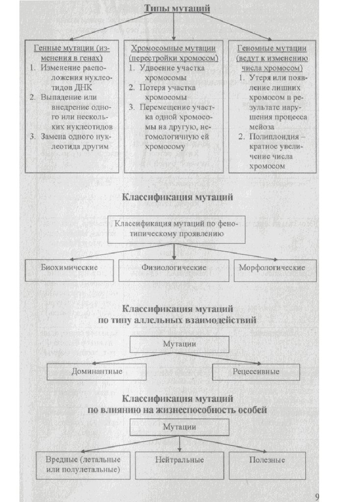 Человек биология в схемах и таблицах