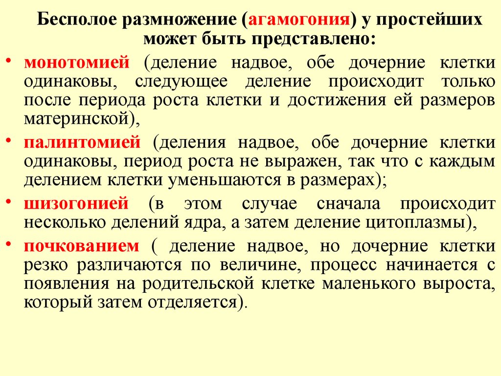 Размножение простейших. Размножение простейши. Формы размножения простейших. Бесполое размножение простейших.