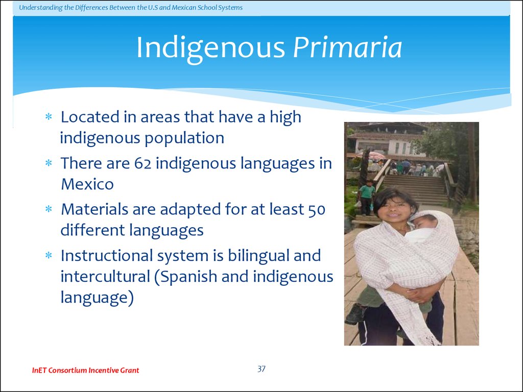 Indigenous Primaria