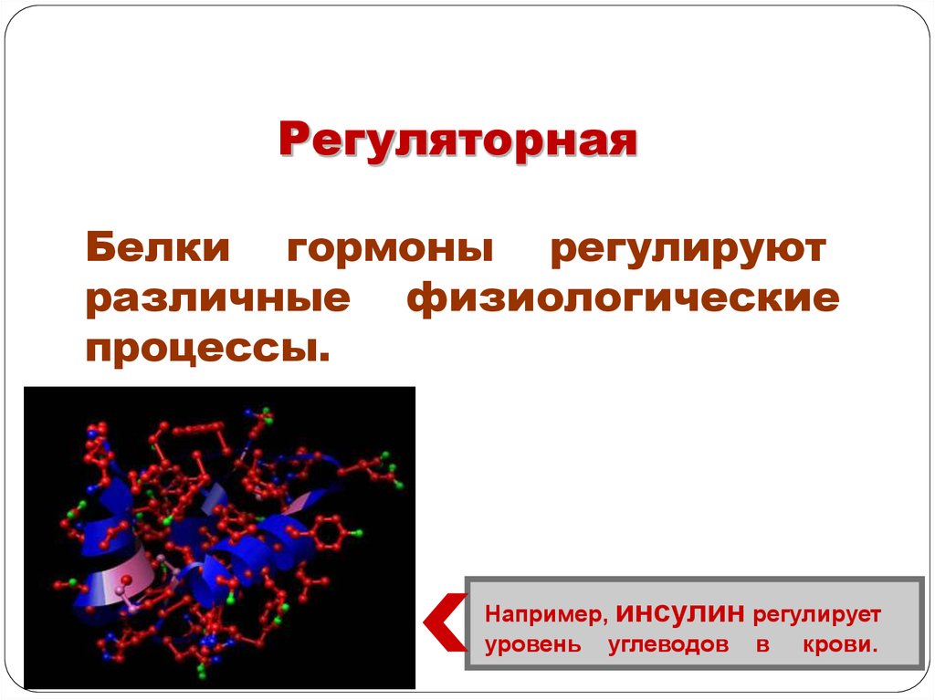 Регуляторная функция. Функции белков гормонов. Белки гормоны функции. Регуляторная функция белков. Гормональная Регуляторная функция белков.