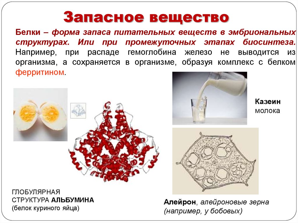 Запасными веществами растений являются. Запасное вещество организмов. Запасные питательные вещества. Запасные питательные вещества белки. Форма запасных белков.