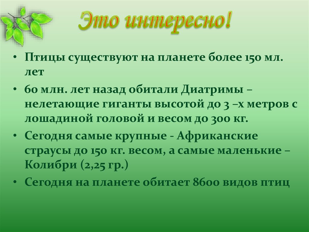 Презентация по биологии 7 класс разнообразие птиц