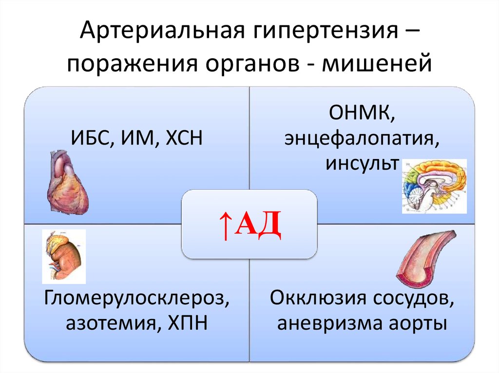 5 органы мишени. Органы мишени при гипертонической болезни 2 степени. Органы мишени при артериальной гипертонии. Поражение органов мишеней. Поражение органов мишеней при гипертонической болезни.