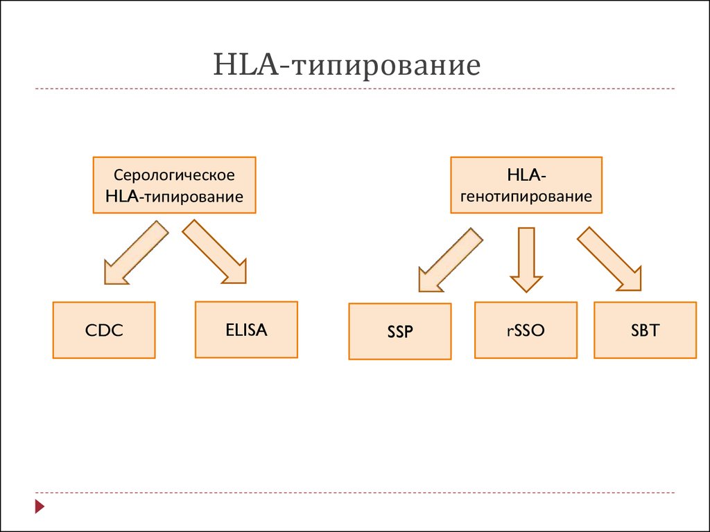 Генотип hla. HLA типирование. Методы HLA типирования. Серологическое типирование это. Серологического типирования антигенов HLA.