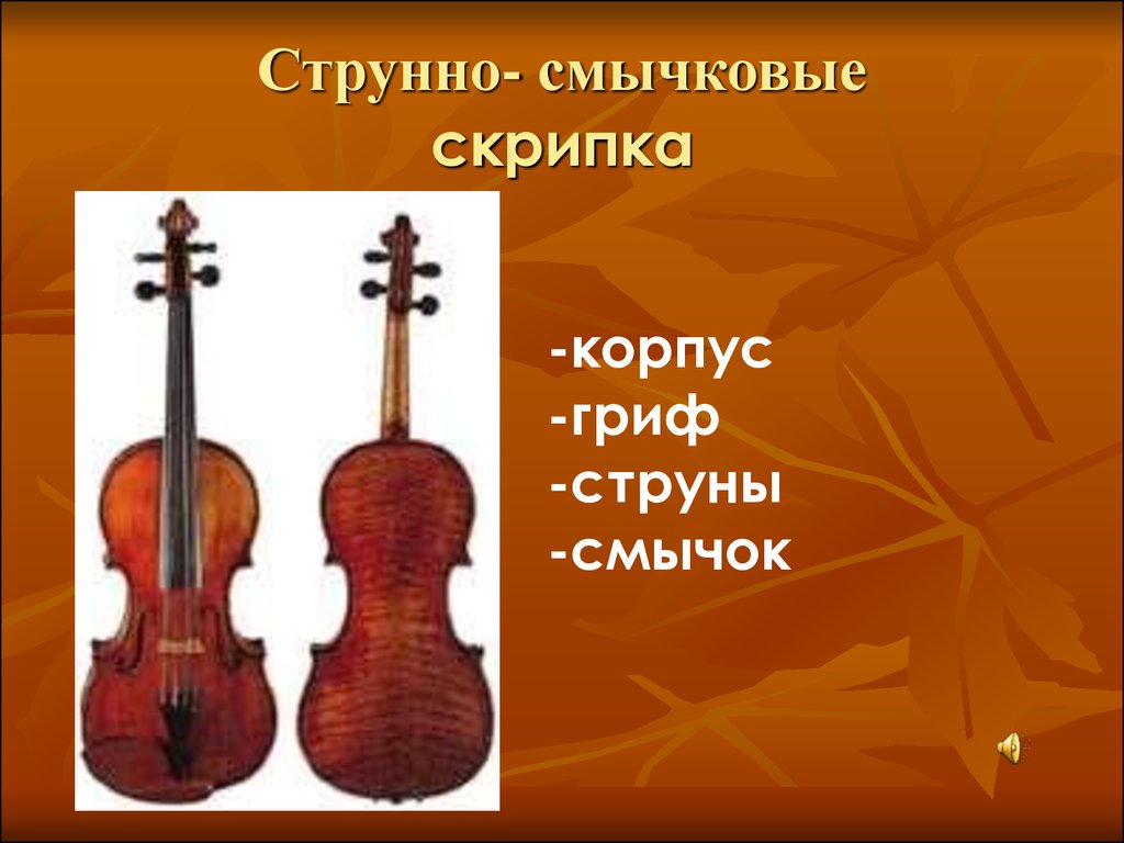 Струнно- смычковые скрипка