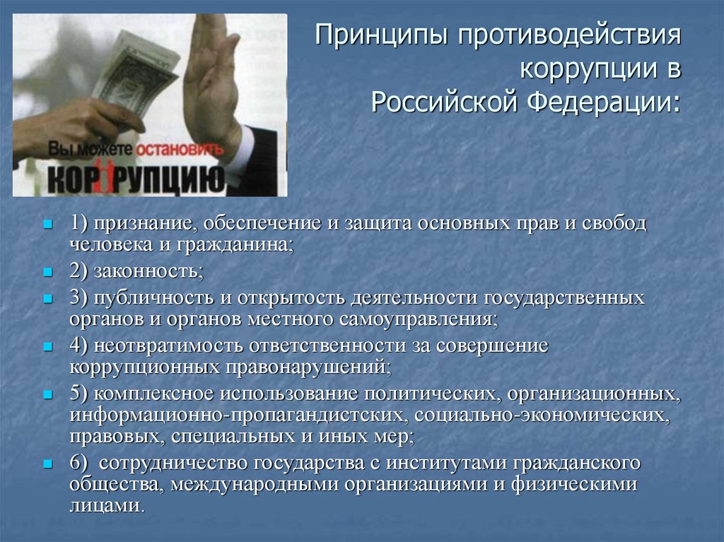 Принципы противодействия коррупции в Российской Федерации: