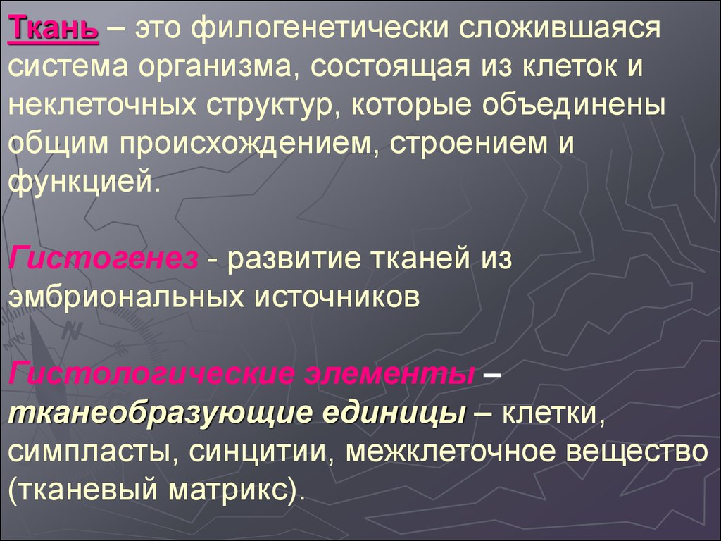 Организация ткани. Основные принципы организации тканей. Тканевая организация. Общие принципы клеточно дифферонная организация тканей. Принципы организации эпителиальной ткани.