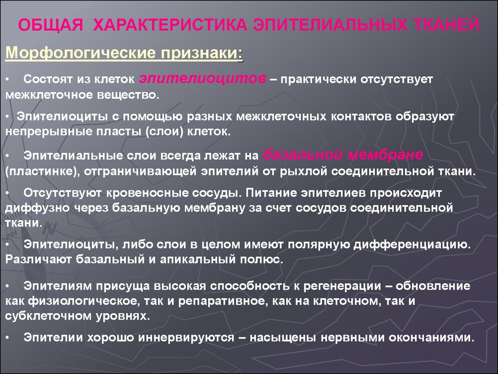 Организация ткани. Основные принципы организации тканей. Общая характеристика эпителиальных тканей. Общие свойства эпителиальных тканей. Основные свойства эпителиальной ткани.