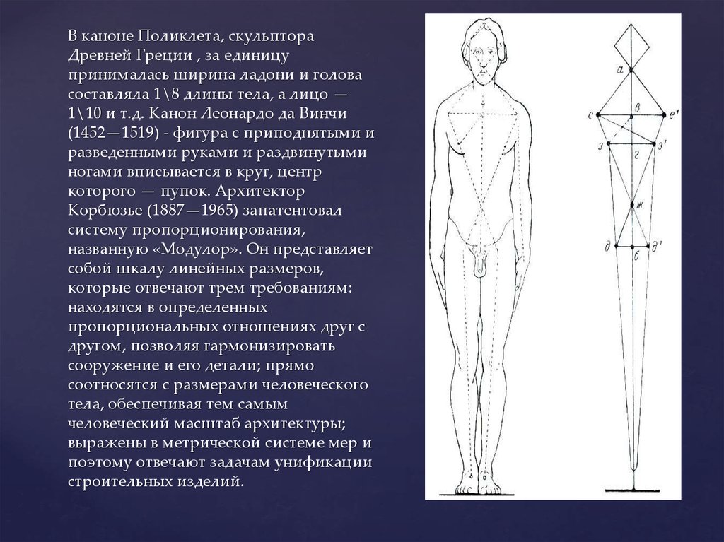 Поликлет произведение которое считается изображением эталонных пропорций человеческого тела