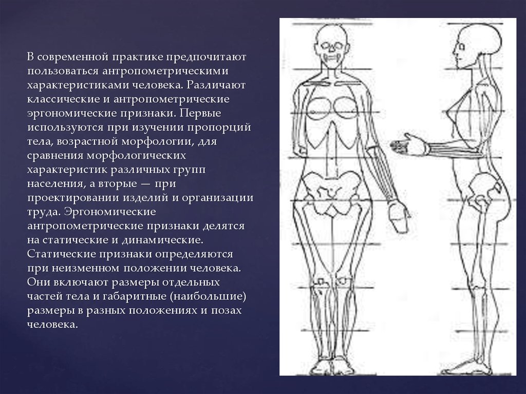 Параметры человека. Антропометрия параметры человека. Антропометрические характеристики тела человека. Антропометрические и энергетические характеристики человека. Эргономические антропометрические параметры человека.