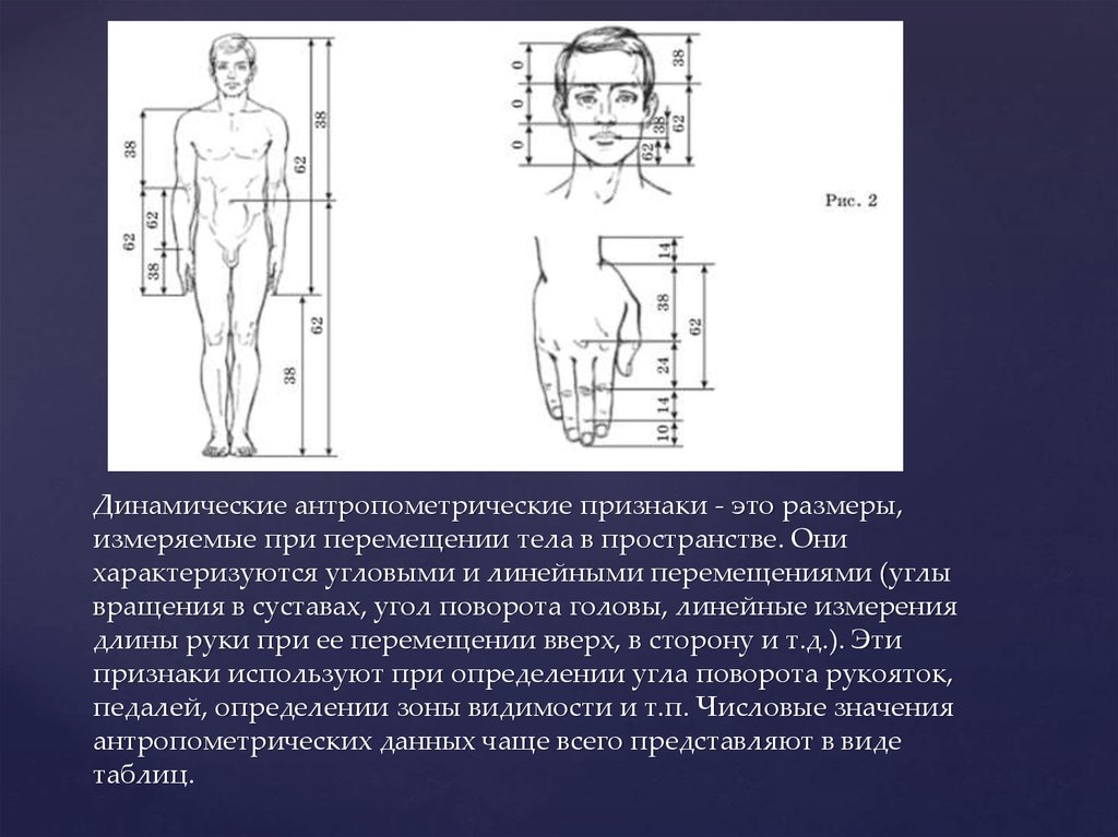 Антропометрия. Антропометрические признаки. Измерение головы антропометрия. Антропометрическая концепция. Антропологические измерения человека.