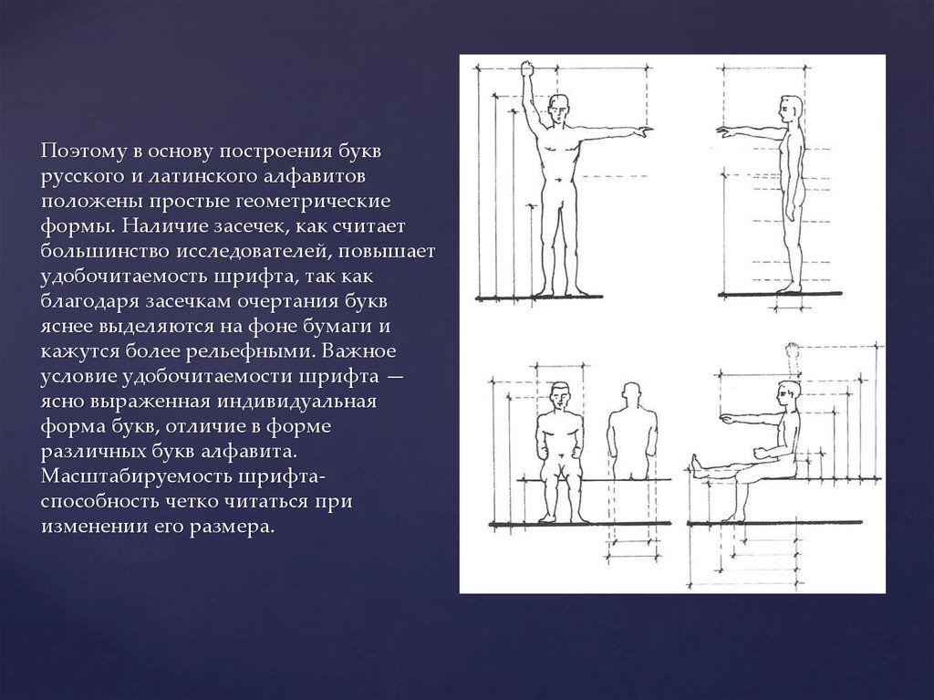 Эргономические схемы музея