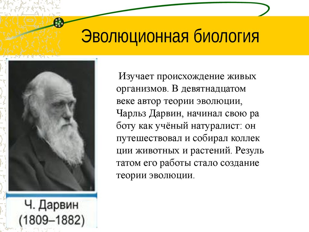 Учение биология. Эволюционная биология. Что изучает эволюционная биология. Теория эволюции изучает. Ученые изучающие эволюцию.