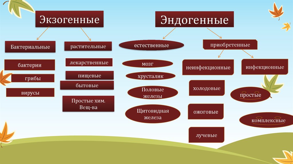 Эндогенные факторы. Экзогенные факторы воспаления. Эндогенные и экзогенные процессы в медицине. Экзогенные факторы и эндогенные факторы. Экзогенные и эндогенные факторы воспаления.