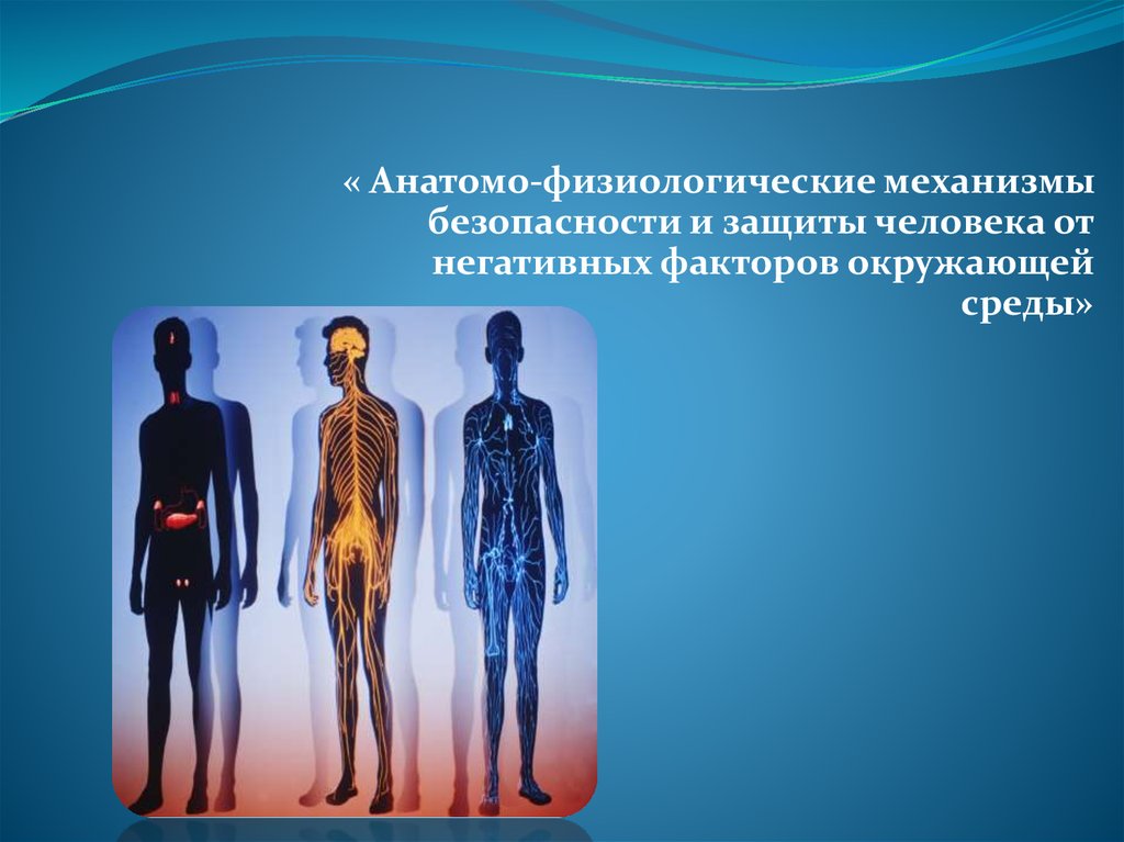 Анатомо физиологические механизмы. Физиологическая безопасность. Физиологические механизмы защиты. Защита от неблагоприятных факторов. Анатомо физиологические факторы.