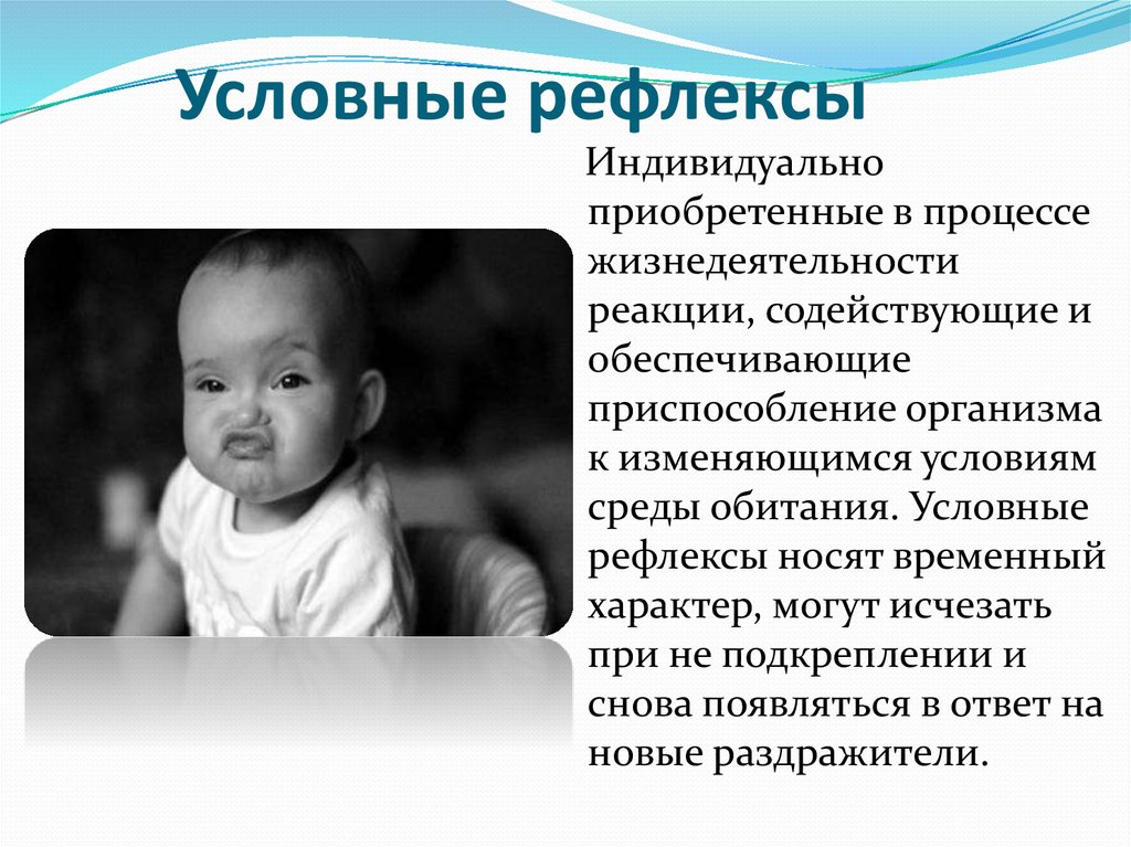 Условные рефлексы фото