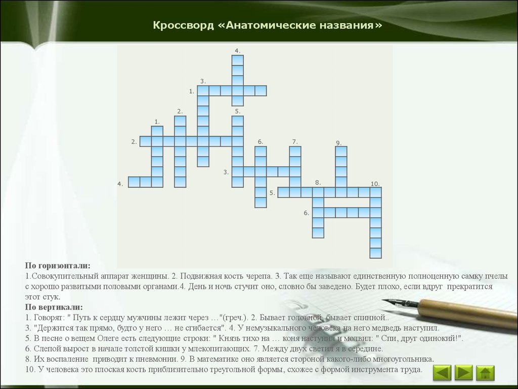 Основы латинского языка с медицинской терминологией - презентация онлайн