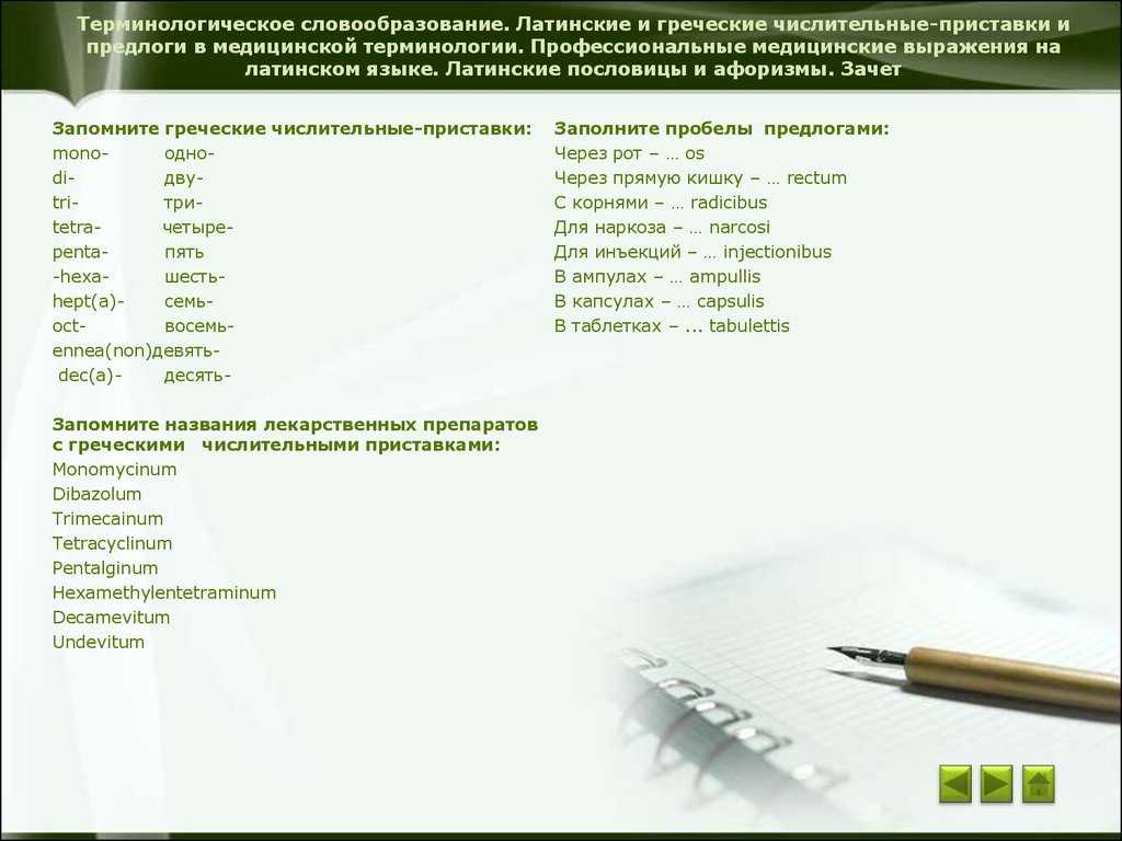 Основы латинского языка с медицинской терминологией - презентация онлайн