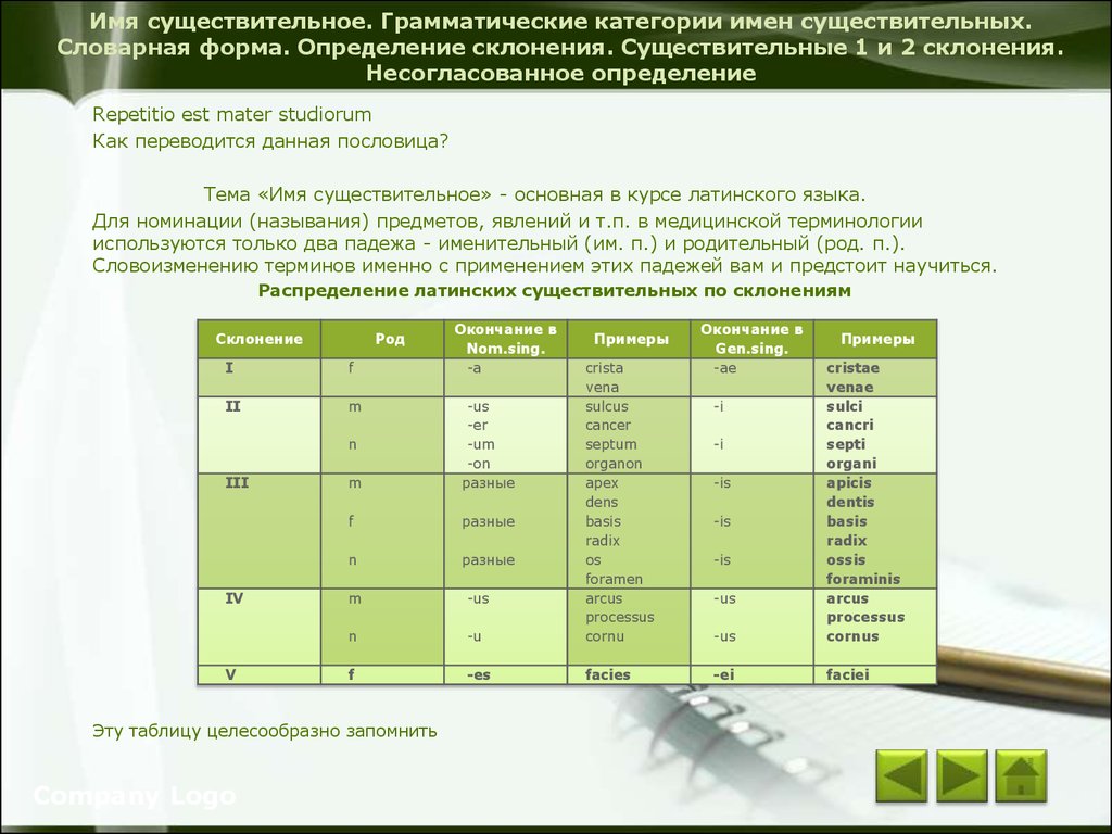 Основы латинского языка с медицинской терминологией