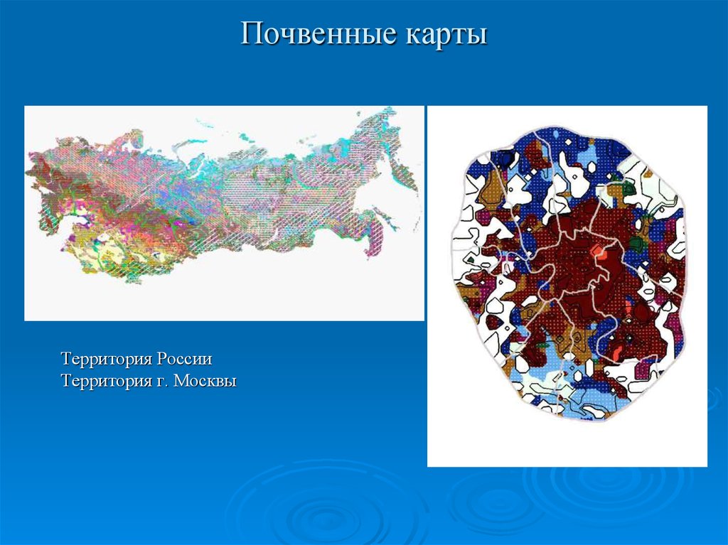 Почвенная карта красноярского края