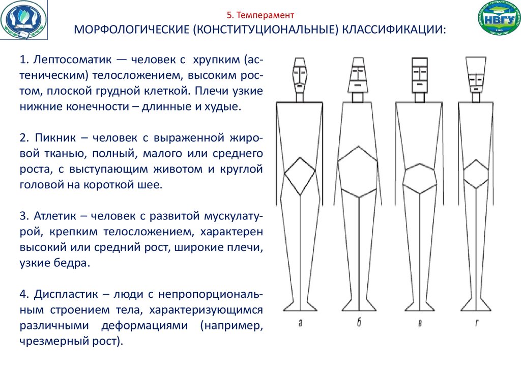 Характер 6. Лептосоматик пикник Атлетик Диспластик. Лептосоматик это в психологии. Лептосоматик темперамент. Диспластик это в психологии.
