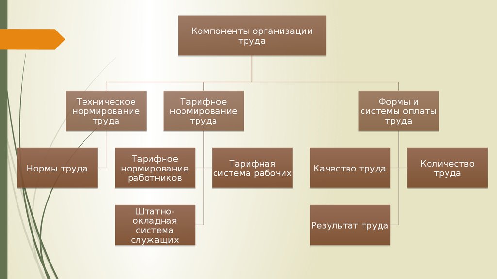 Организация системы оплаты труда на предприятии. Организация технического нормирования труда на предприятии. Техническое и тарифное нормирование. Организация нормирование и оплата труда. Организация оплаты труда.