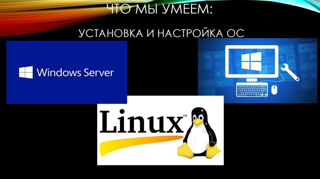 Что мы умеем: