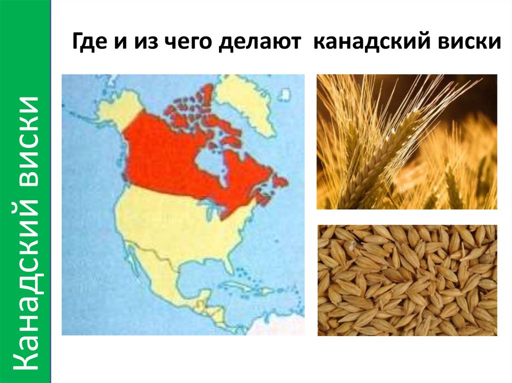 Где и из чего делают канадский виски