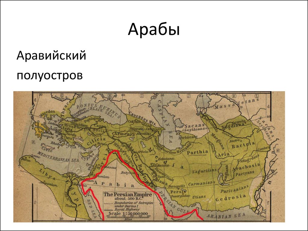 Арабы аравийского полуострова. Аравийский полуостров арабы. Аравийский полуостров в 13 веке на карте.