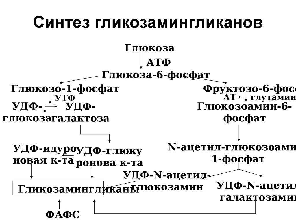 Схема катаболизма гликозаминогликанов