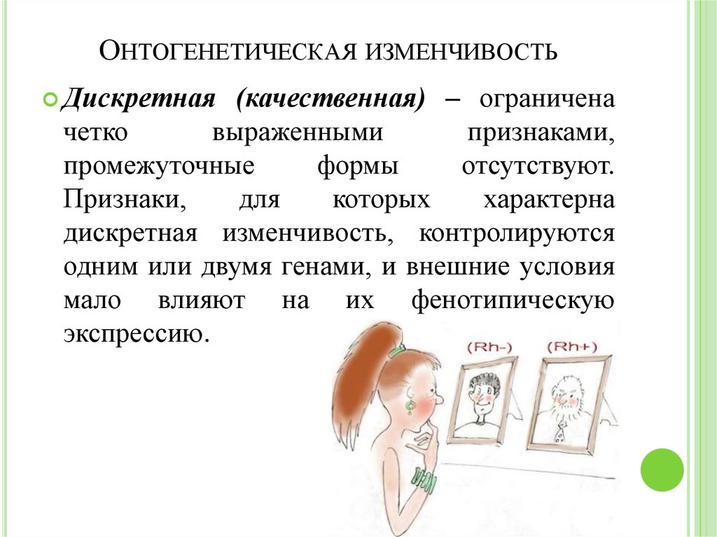 Изменчивость человека. Онтогенетическая изменчивость. Онтогенетическая изменчивость примеры. Наследственная онтогенетическая изменчивость. Онтогенетическая изменчивость изменчивость.