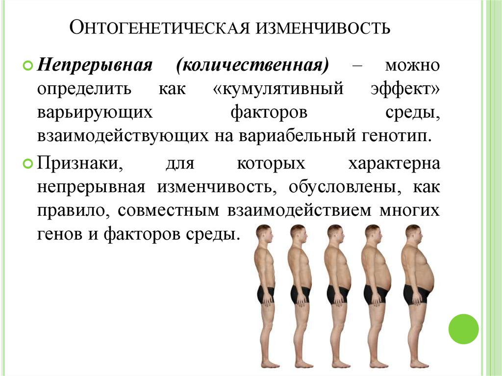 Изменчивость определяет. Непрерывная фенотипическая изменчивость. Наследственная онтогенетическая изменчивость. Онтогенетическая изменчивость наследственная и ненаследственная. Наследственность фенотипическая онтогенетическая.