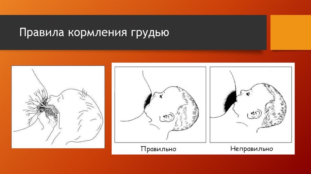 Правила кормления. Правила грудного вскармливания. Правила кормления грудью. Правилакормлентя грудью. Грудное вскармливание правило.