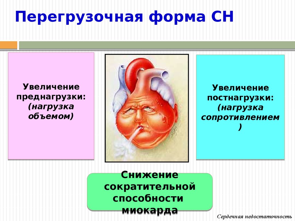 Перегрузочная сердечная недостаточность. Перегрузочная сердечная недостаточность патогенез. Перегрузочная форма сердечной недостаточности причины. Этиология перегрузочной формы сердечной недостаточности. Патогенез перегрузочной сердечной недостаточности.