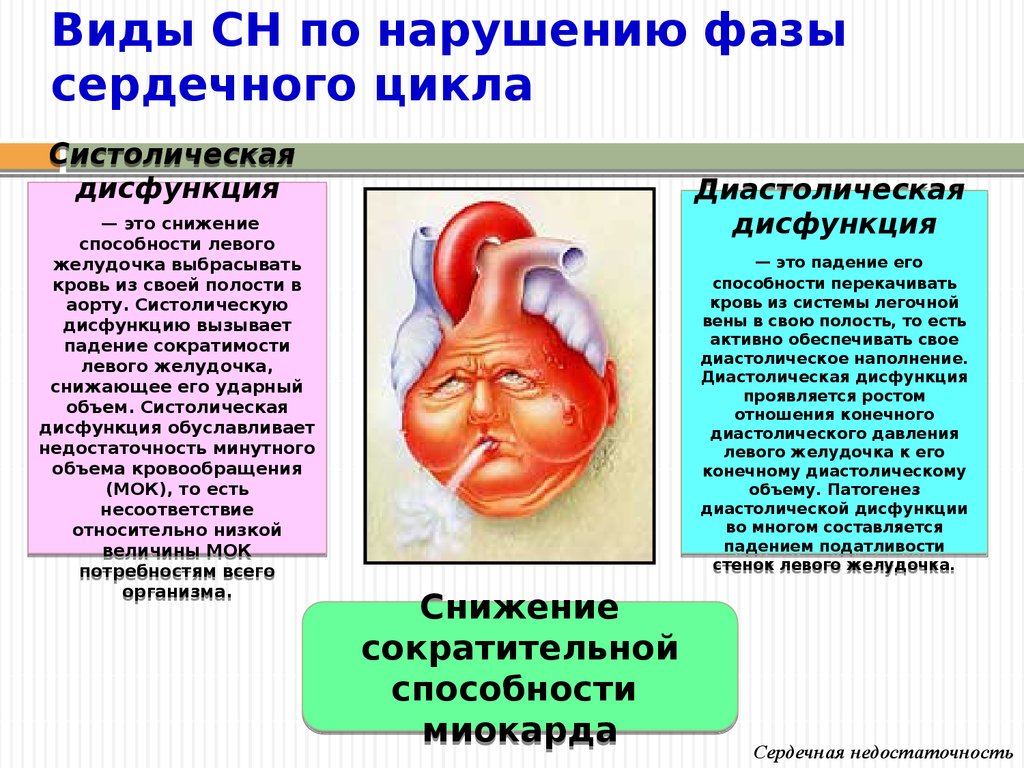 Нарушении левого желудочка. Патофизиология развития сердечной недостаточности. Систолическая и диастолическая сердечная недостаточность. ХСН систолическая и диастолическая дисфункция. Систолическая и диастолическая серлечная не.