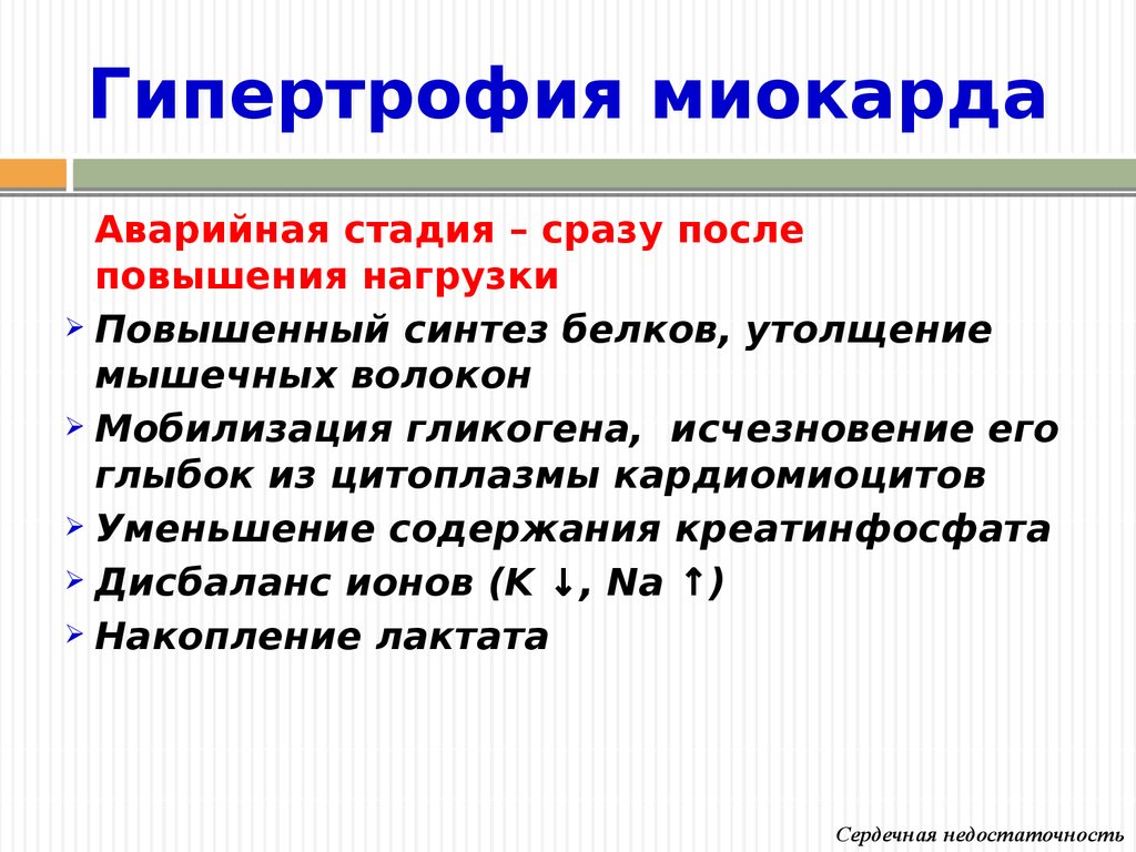 Гипертрофия. Предпосылки гипертрофии миокарда. Синдром гипертрофии миокарда. Стадии гипертрофии миокарда.